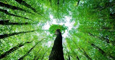 Απορίες, ερωτήματα και απαντήσεις