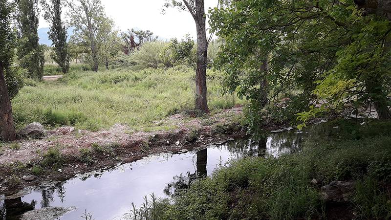 Πήδημα Μεσσηνίας - Ανέκαθεν γνωστό στην περιοχή για το πράσινο (βίντεο)