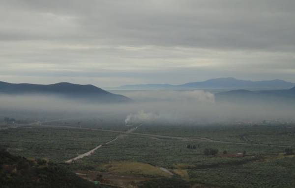 Ημερίδα για τις περιβαλλοντικές επιπτώσεις της ελαιοπαραγωγής στην Καλαμάτα