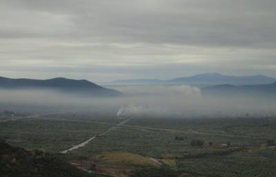 Ημερίδα για τις περιβαλλοντικές επιπτώσεις της ελαιοπαραγωγής στην Καλαμάτα