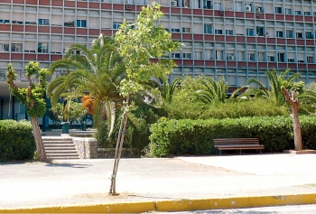 Η σύμβαση με την "Ελλάκτωρ" προβλέπει απαγόρευση δημιουργίας πάρκινγκ στο κέντρο της Καλαμάτας