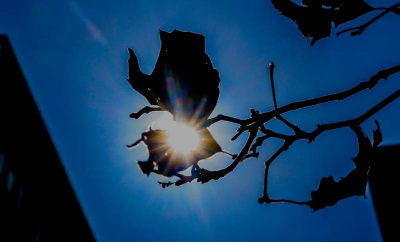 Ο καιρός για το Πάσχα: Άνοιξη μέχρι Μεγάλη Τετάρτη (Βίντεο)