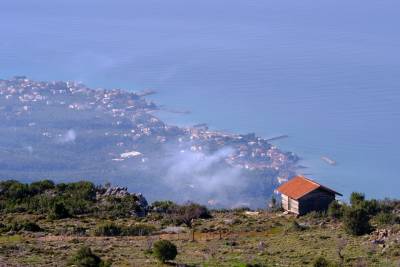 Ο Ορειβατικός Σύλλογος Καλαμάτας στο Καλάθι