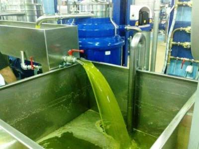 Ελαιόλαδο: 40.616 τόνους παρήγαγε το 2022 η Μεσσηνία - Στην πρώτη θέση το Ηράκλειο Κρήτης (πίνακας)