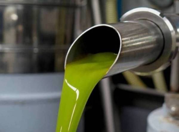 Μεσσηνία: Σταθερά στο 4,50 ευρώ η τιμή του ελαιολάδου