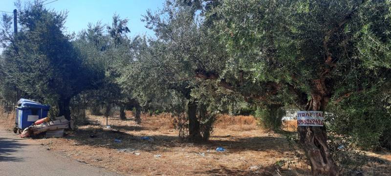 Οικόπεδο σκουπιδότοπος στο Ξηροκάμπι Λεΐκων
