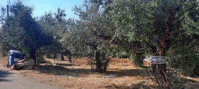 Οικόπεδο σκουπιδότοπος στο Ξηροκάμπι Λεΐκων