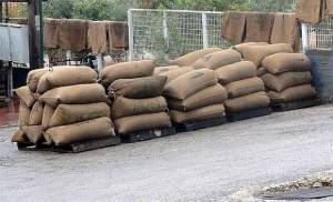 Εκλεψαν 21 σακιά ελιές από χωράφι στα Φιλιατρά