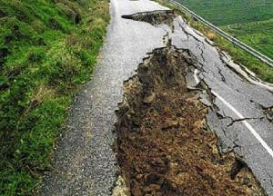 Θέλουν πρόβατα, αλλά ατύχησαν...