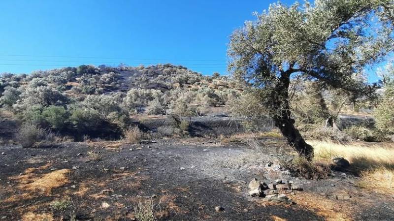 Φωτιά στο Ρέθυμνο: Μάχη με τις αναζωπυρώσεις και τους ανέμους - Νέα εκκένωση οικισμού (βίντεο)