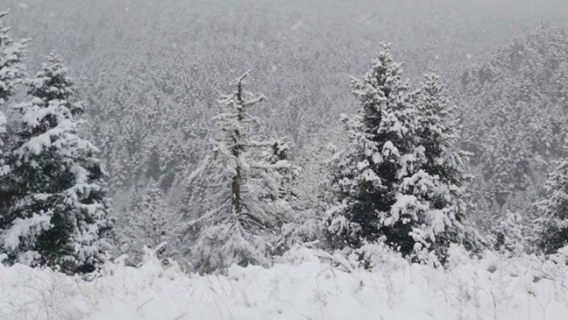 Μεγάλη επιχείρηση για τον εντοπισμό 16χρονου σε κορυφή των Τζουμέρκων