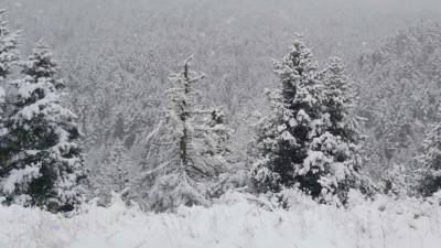 Μεγάλη επιχείρηση για τον εντοπισμό 16χρονου σε κορυφή των Τζουμέρκων