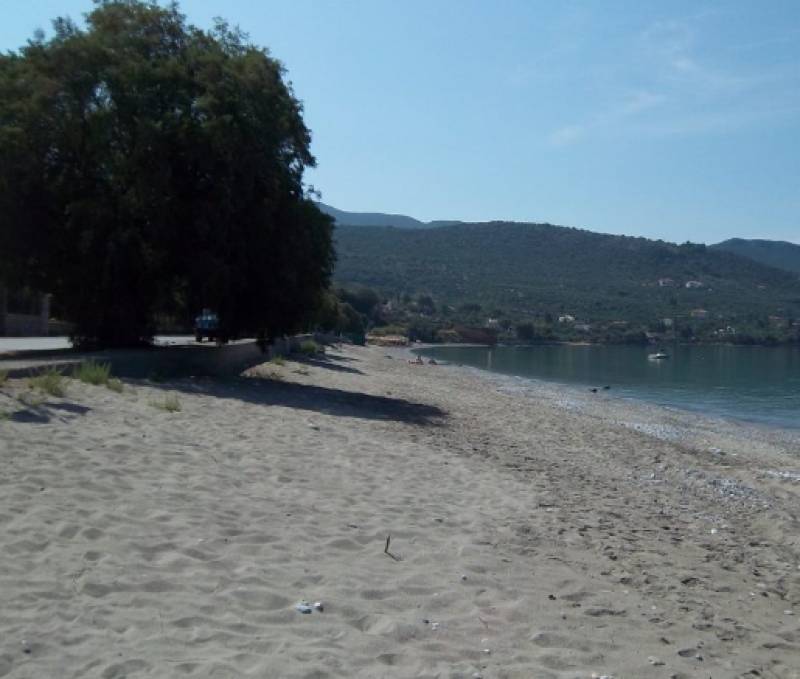 Εξόρμηση καθαρισμού στην παραλιακή Αβία