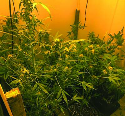 Χασίς στο σαλόνι σε σπίτι στο Καρτερόλι