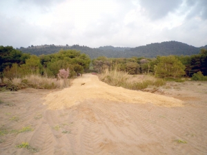 Συνεχίζονται οι παρανομίες στις παραλίες του Κυπαρισσιακού καταγγέλλει ο Σύλλογος "Αρχέλων"