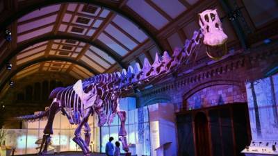 Διαδηλωτές για το κλίμα έβαψαν πορτοκαλί ομοίωμα δεινοσαύρου