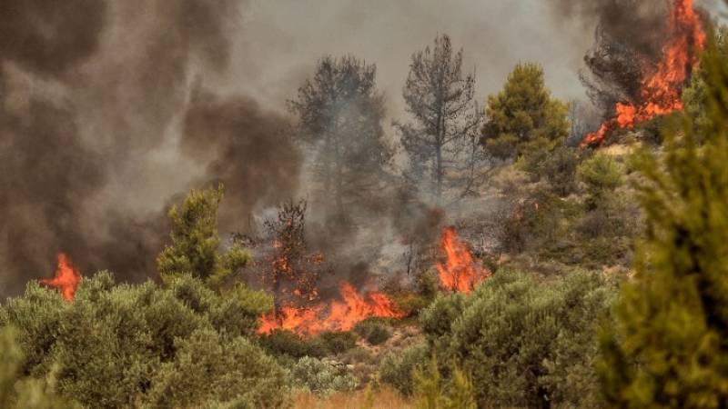 Φωτιά σε εξέλιξη στην περιοχή Νέα Αλμυρή - Μήνυμα του 112 για εκκένωση του Ρυτού Κορινθίας (βίντεο)