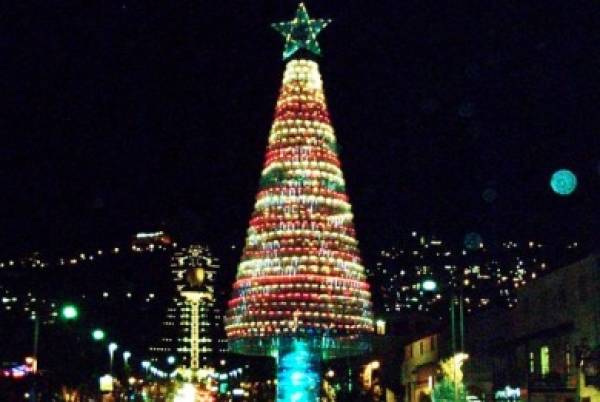 Σάββατο βράδυ τα φώτα στο δέντρο της Μεσσήνης