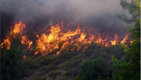 Κοντά στο Σελλά η πυρκαγιά στην ορεινή Τριφυλία