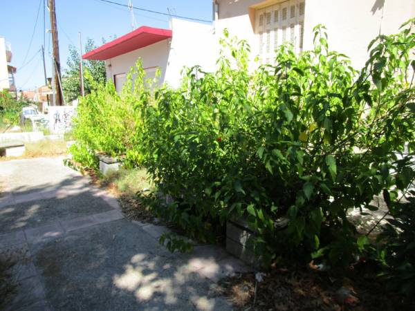 Μισή… παρέμβαση