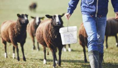 Ενίσχυση με κτηνίατρους και απολυμαντικούς σταθμούς ζητούν οι κτηνοτρόφοι της Τριφυλίας