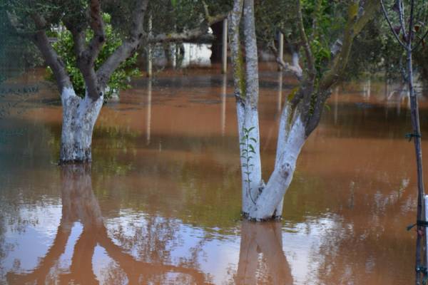 Μεσσηνία: Τεράστιες ζημιές στην αγροτική παραγωγή