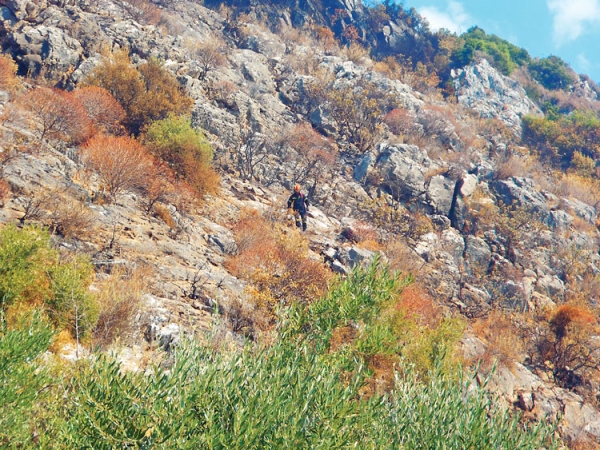 Ορειβατική κατάσβεση χθες στη Βέργα
