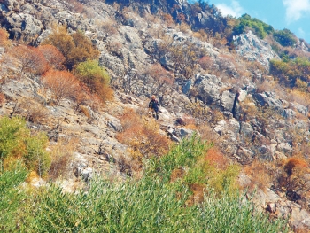 Ορειβατική κατάσβεση χθες στη Βέργα