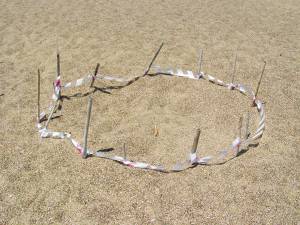 500 φωλιές καρέτα - καρέτα στον Κυπαρισσιακό Κόλπο