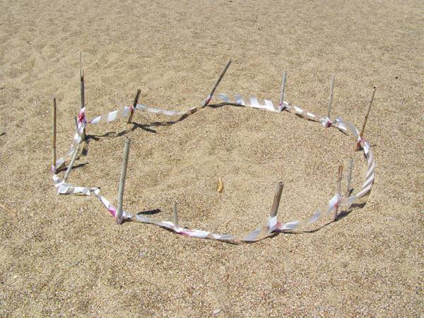 500 φωλιές καρέτα - καρέτα στον Κυπαρισσιακό Κόλπο