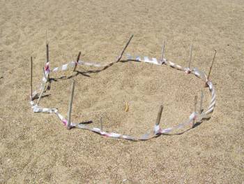 500 φωλιές καρέτα - καρέτα στον Κυπαρισσιακό Κόλπο