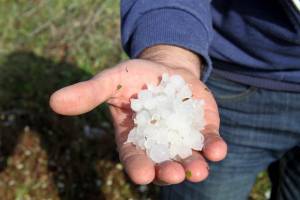 Σοβαρές ζημιές σε καλλιέργειες από τη χαλαζόπτωση στην Κορινθία