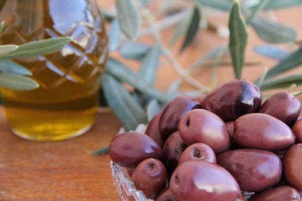 Συνάντηση ΕΔΟΕΕ με Μάρκο Μπόλαρη: Σχέδιο στρατηγικής για το ελαιόλαδο