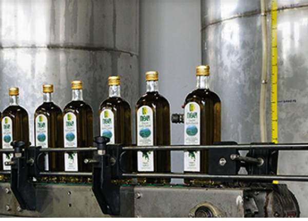 Ο Συνεταιρισμός Γαργαλιάνων στους 24 πρώτους της Ελλάδας με βάση το τζίρο