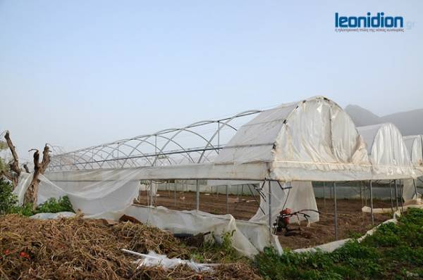 Μεγάλες ζημιές σε καλλιέργειες στον κάμπο του Λεωνιδίου (βίντεο)