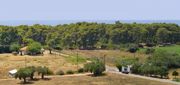 Τριφυλία: Ζητούν χώρο για κατασκήνωση στο δάσος Ελαίας