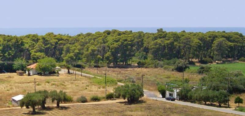 Τριφυλία: Ζητούν χώρο για κατασκήνωση στο δάσος Ελαίας
