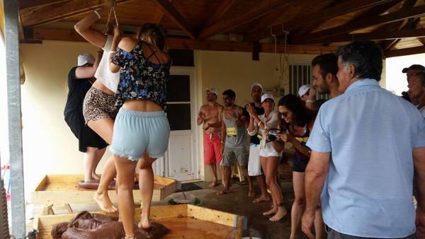 Τουρίστες πάτησαν σταφύλια στην Καλλιθέα της Πυλίας