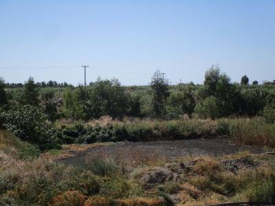 Λάκκοι με λυματολάσπη