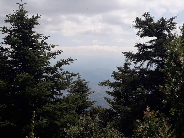 Eξόρμηση στον Βορειοδυτικό Ταΰγετο (φωτογραφίες)