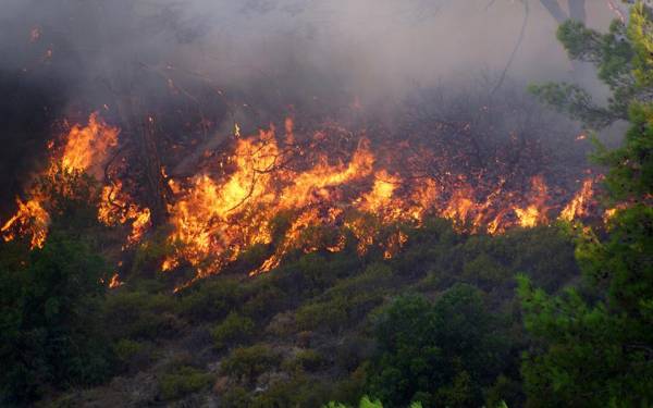 Ξυλόκαστρο: Εκκενώθηκαν οι μαθητικές κατασκηνώσεις λόγω της πυρκαγιάς