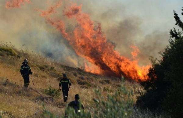 Σε εξέλιξη μεγάλη πυρκαγιά στον Ταΰγετο (βίντεο)