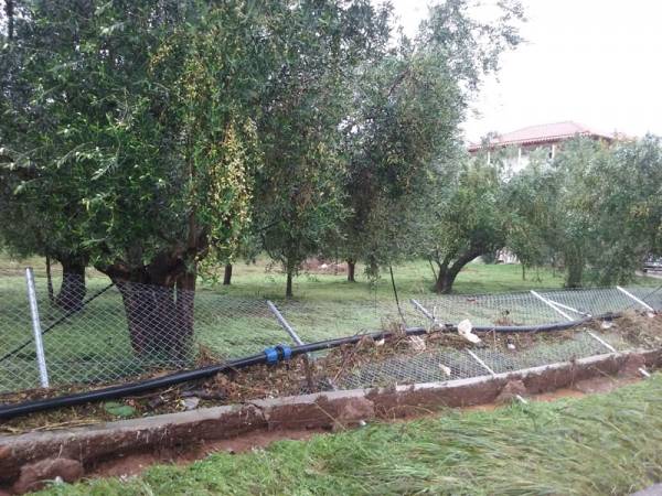 Πλημμύρισαν ξανά καλλιέργειες στο Κουτσουβέρι Γαργαλιάνων