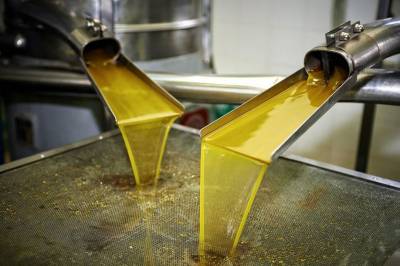 Πάνω από 3 ευρώ το ελαιόλαδο στη Λακωνία