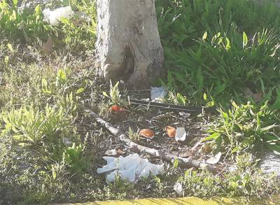 Απροστάτευτο το περιβάλλον