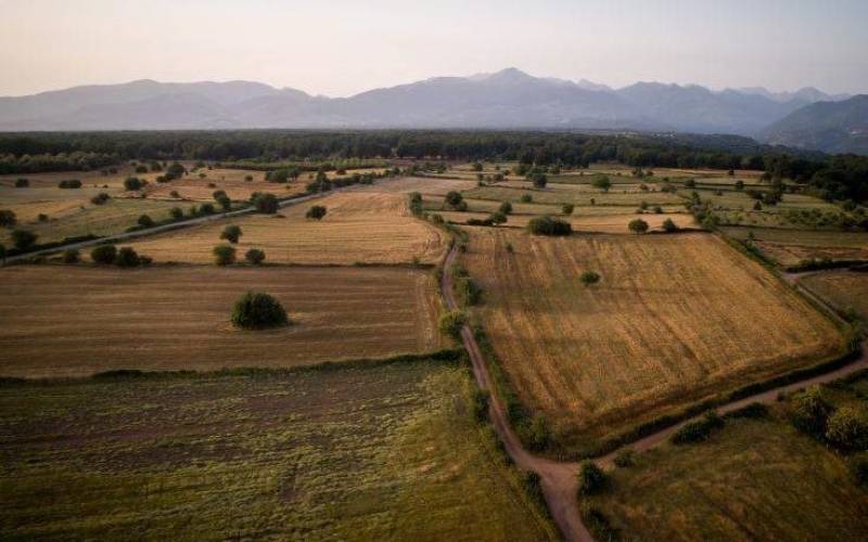 Η μέση τιμή πώλησης αγροτικών εκτάσεων στην Πελοπόννησο