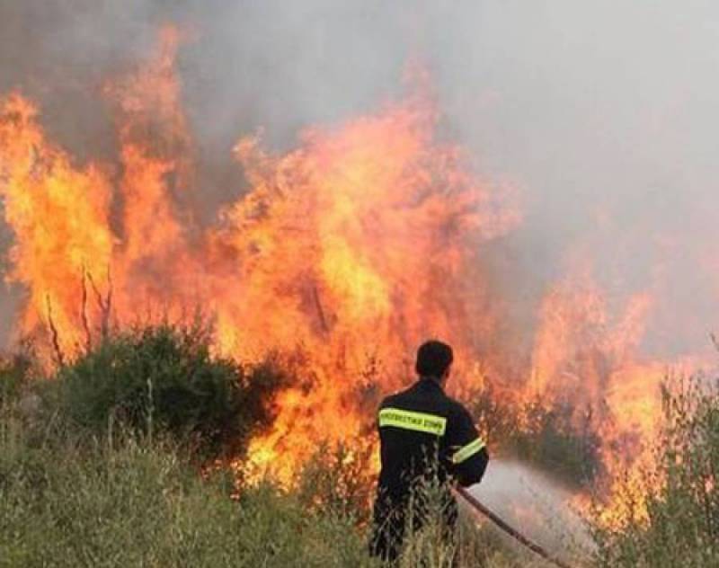 Φωτιά σε αγροτική έκταση στο Δήμο Οιχαλίας