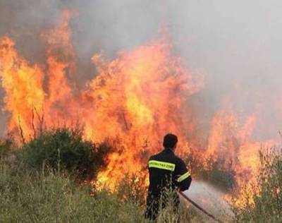 Φωτιά σε αγροτική έκταση στο Δήμο Οιχαλίας