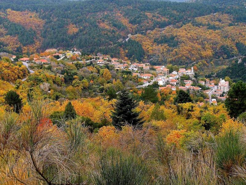 Ο Ορειβατικός στο δάσος του Πάρνωνα