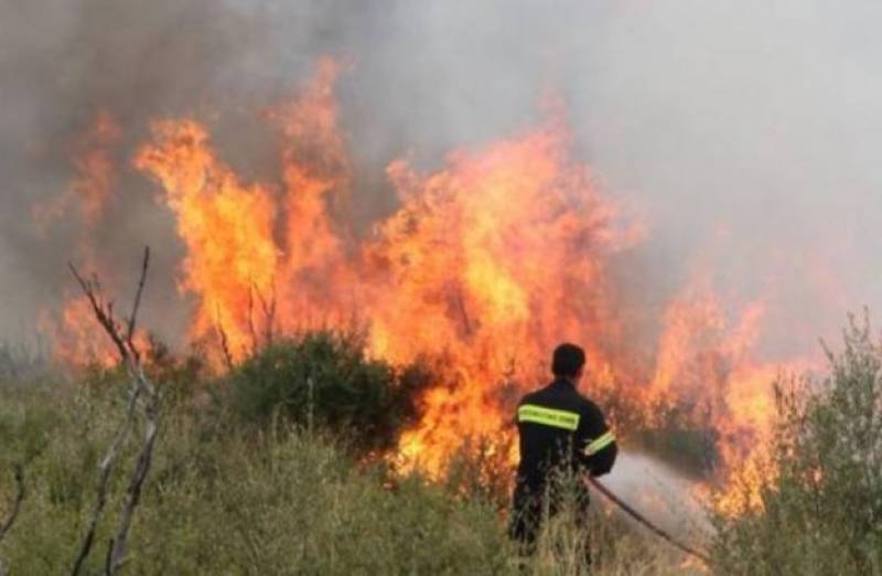 Υπό μερικό έλεγχο η φωτιά στην περιοχή Σπιάντζα στον Πύργο